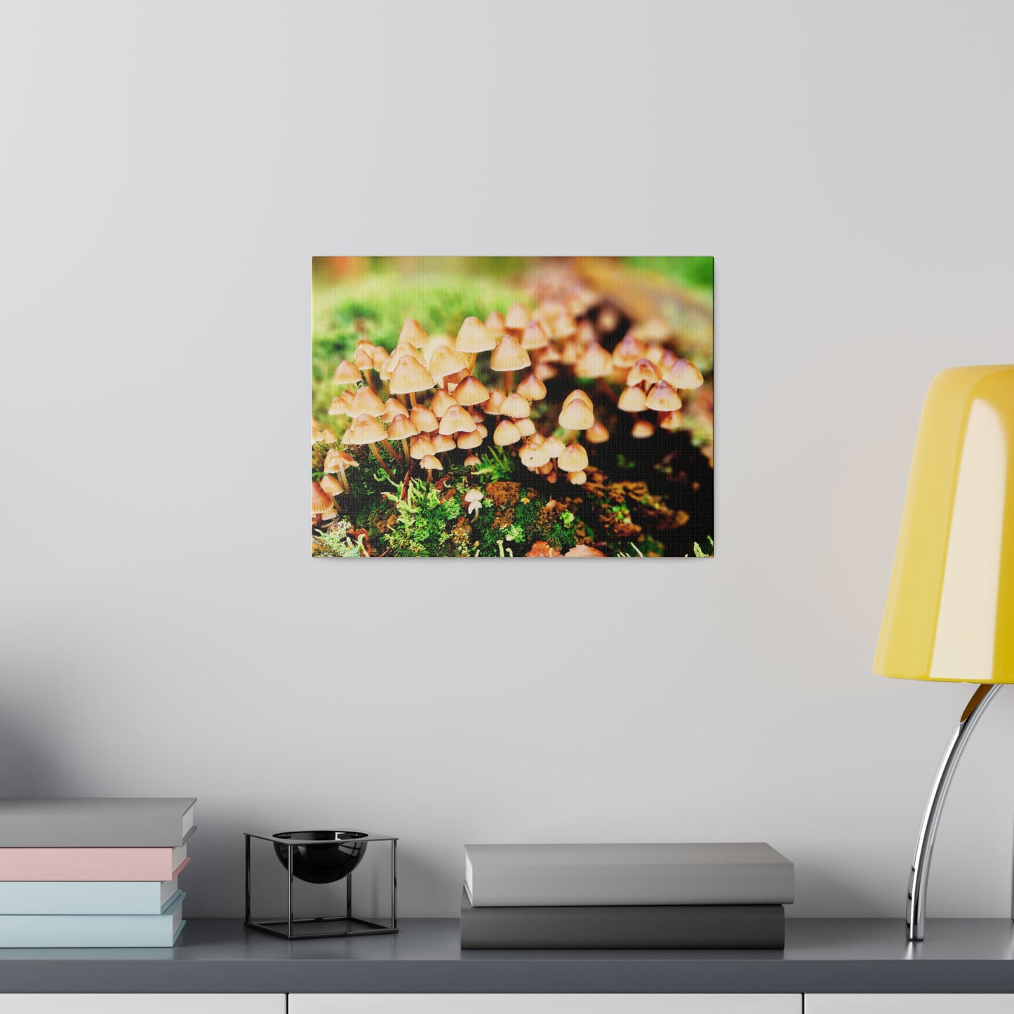 Matte Canvas Picture of Wild Mushrooms, Stretched, 0.75" - Hobbster