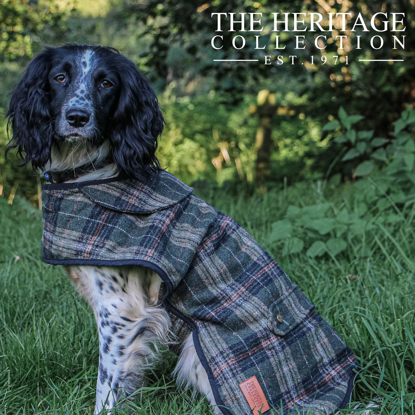 Ancol Heritage Collection Check Coat (60cm) Extra Large - Hobbster
