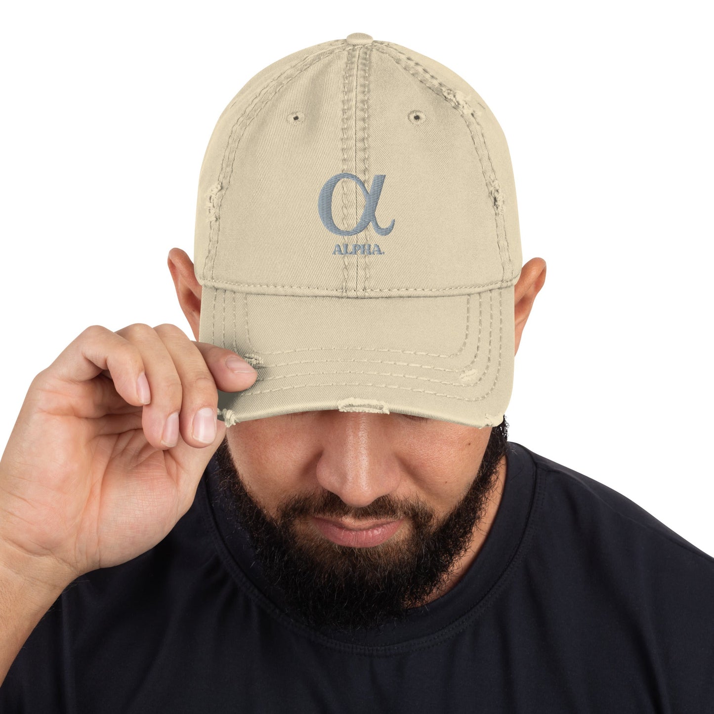 Distressed Dad Hat - Hobbster