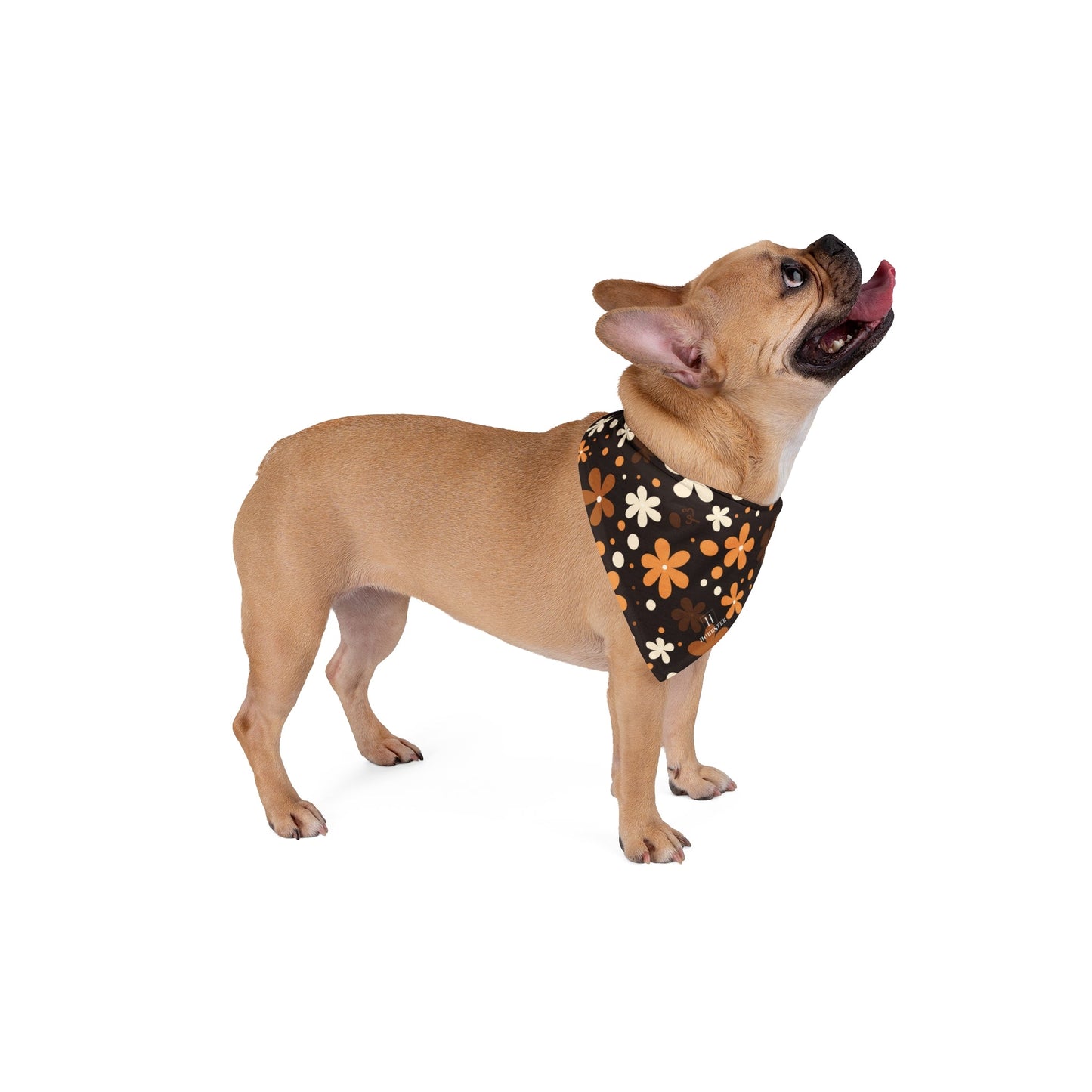 Dog Bandana featuring unique brown boho flowers - Hobbster