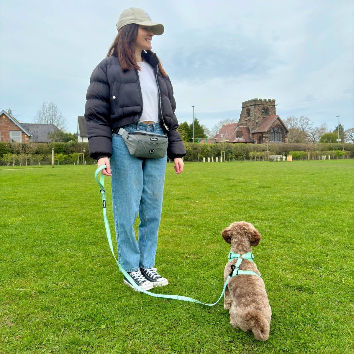 Dog Walking Bum Bag - Grey - Hobbster