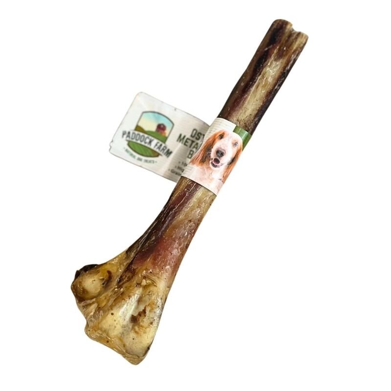 Nova Dog Chews Ostrich Metatarsus Bone 5 Pack - Hobbster
