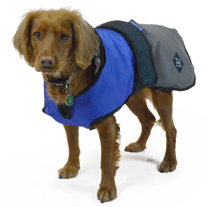 Battersea 2 - in - 1 Not All Heroes Wear Capes Dog Coat Blue [70cm] Large - Hobbster
