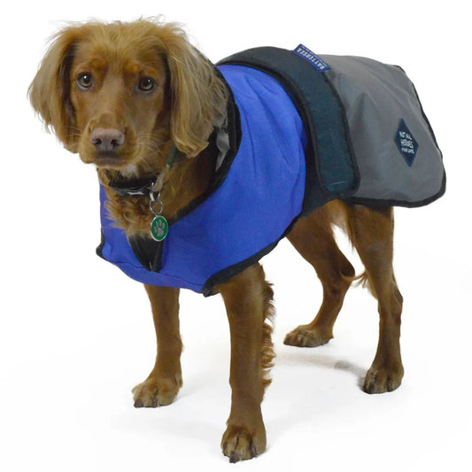 Battersea 2 - in - 1 Not All Heroes Wear Capes Dog Coat Blue [70cm] Large - Hobbster