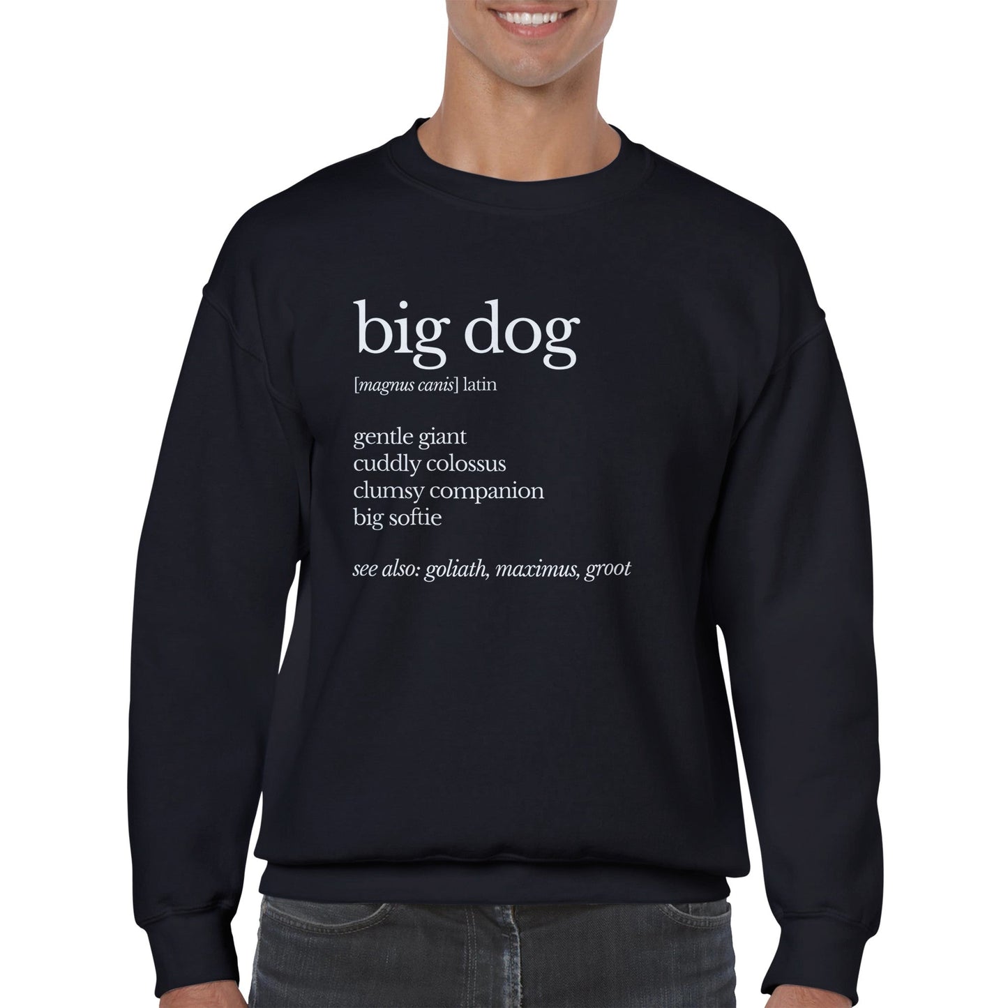 Big Dog Men's Classic Crewneck Sweatshirt - Hobbster