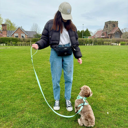 Dog Walking Bum Bag - Black - Hobbster