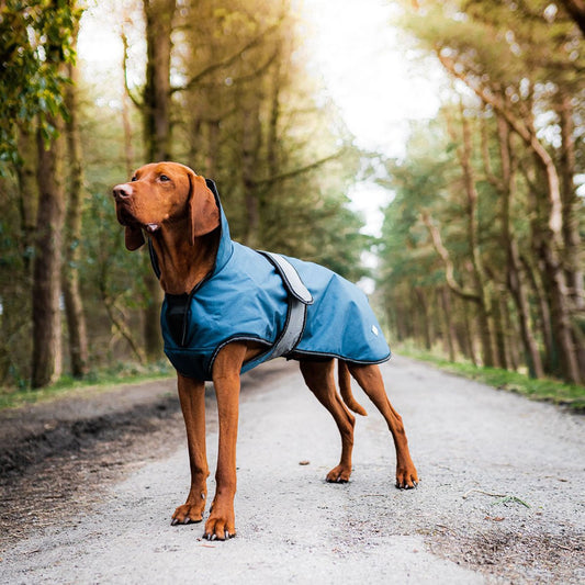 Danish Design 2 - in - 1 Four Seasons Dog Coat Blue (70cm) Large - Hobbster