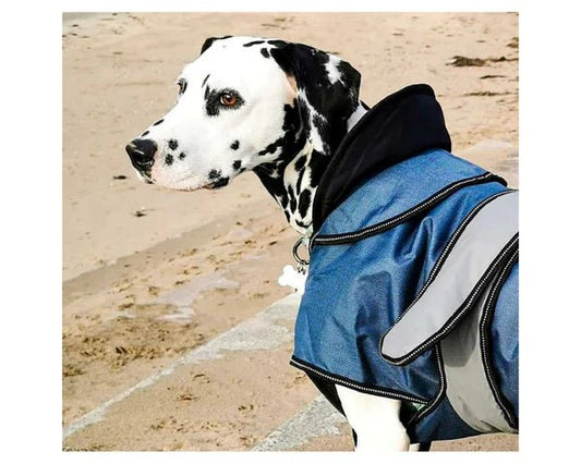 Danish Design 2 - in - 1 Four Seasons Dog Coat Blue (75cm) Extra Large - Hobbster