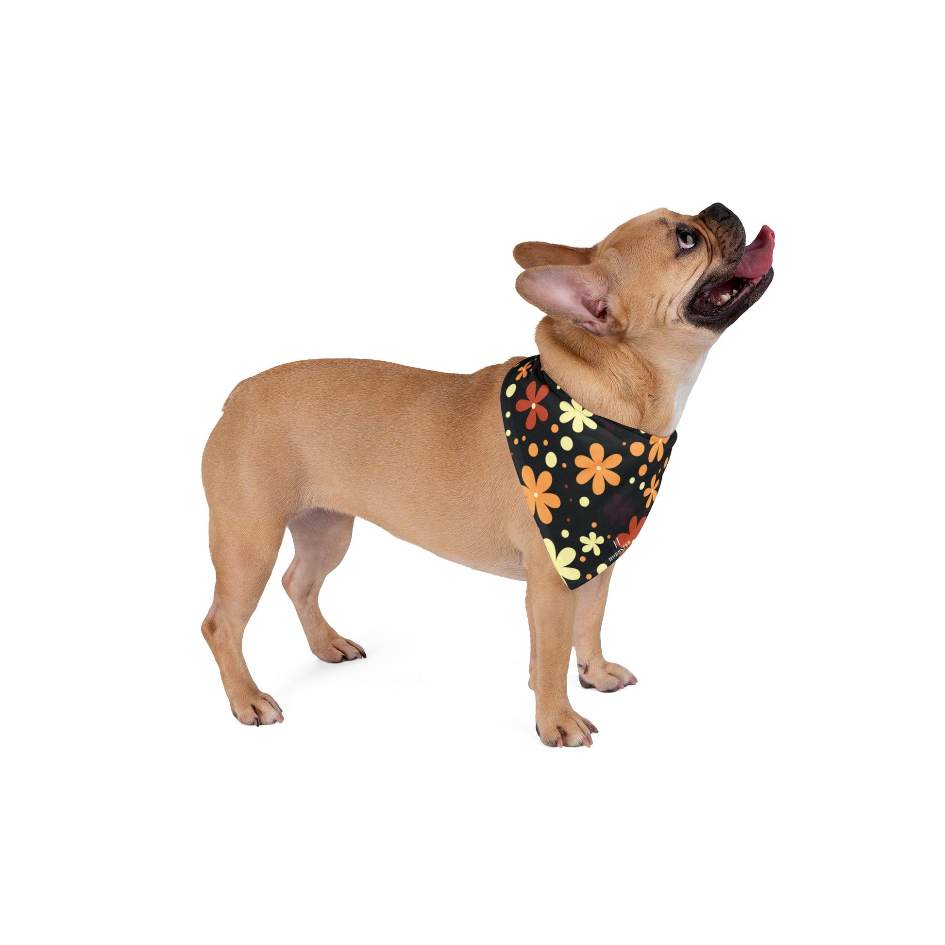 Dog Bandana featuring unique multicolour boho flower design - Hobbster