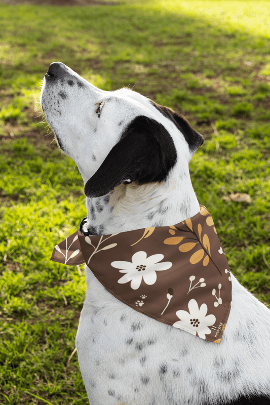 Dog Bandana featuring unique multicolour boho plants design - Hobbster