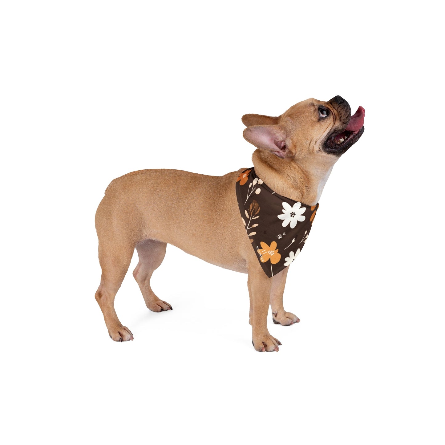 Dog Bandana featuring unique multicolour boho plants design - Hobbster