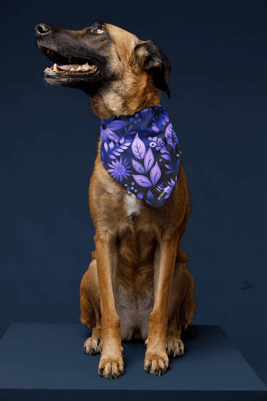 Dog Bandana featuring unique purple floral design - Hobbster