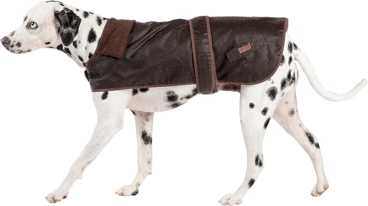 FatFace Sussex Wax Dog Coat 50cm [Large] - Hobbster