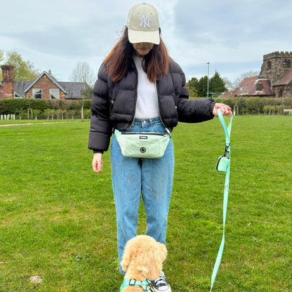 Dog Walking Bum Bag - Sage Green - Hobbster