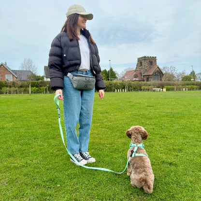 Dog Walking Bum Bag - Grey - Hobbster