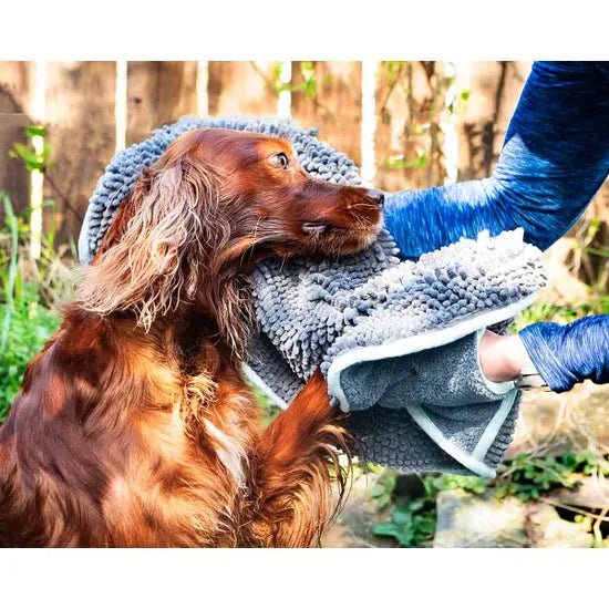 Henry Wag Pet Noodle Glove Towel - Hobbster