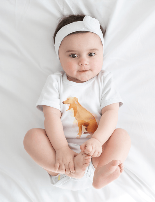 Infant Long Sleeve Bodysuit with Rhodesian Ridgeback Watercolour Design - Hobbster