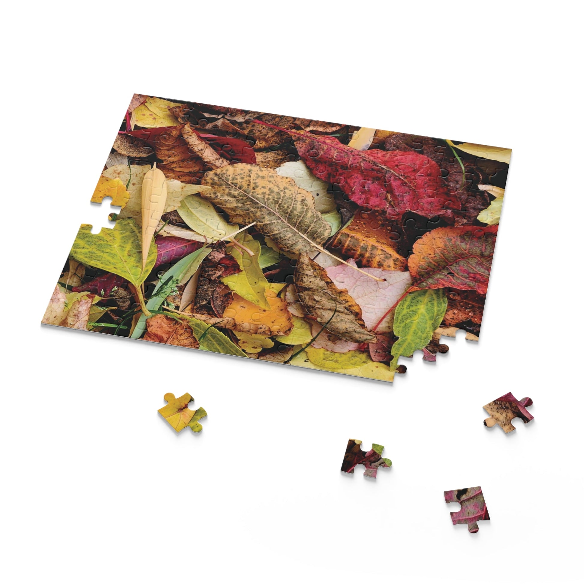 Inspired by Nature Autumn Leaves Jigsaw (120, 252, 500-Piece) - Hobbster
