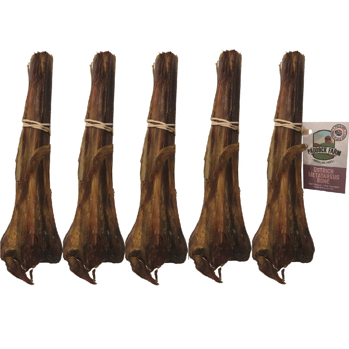 Nova Dog Chews Ostrich Metatarsus Bone 5 Pack - Hobbster