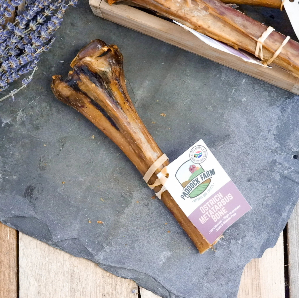 Nova Dog Chews Ostrich Metatarsus Bone 5 Pack - Hobbster