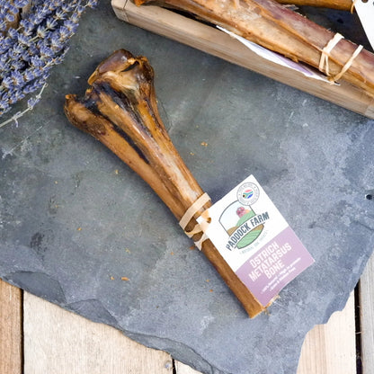 Nova Dog Chews Ostrich Metatarsus Bone 5 Pack - Hobbster