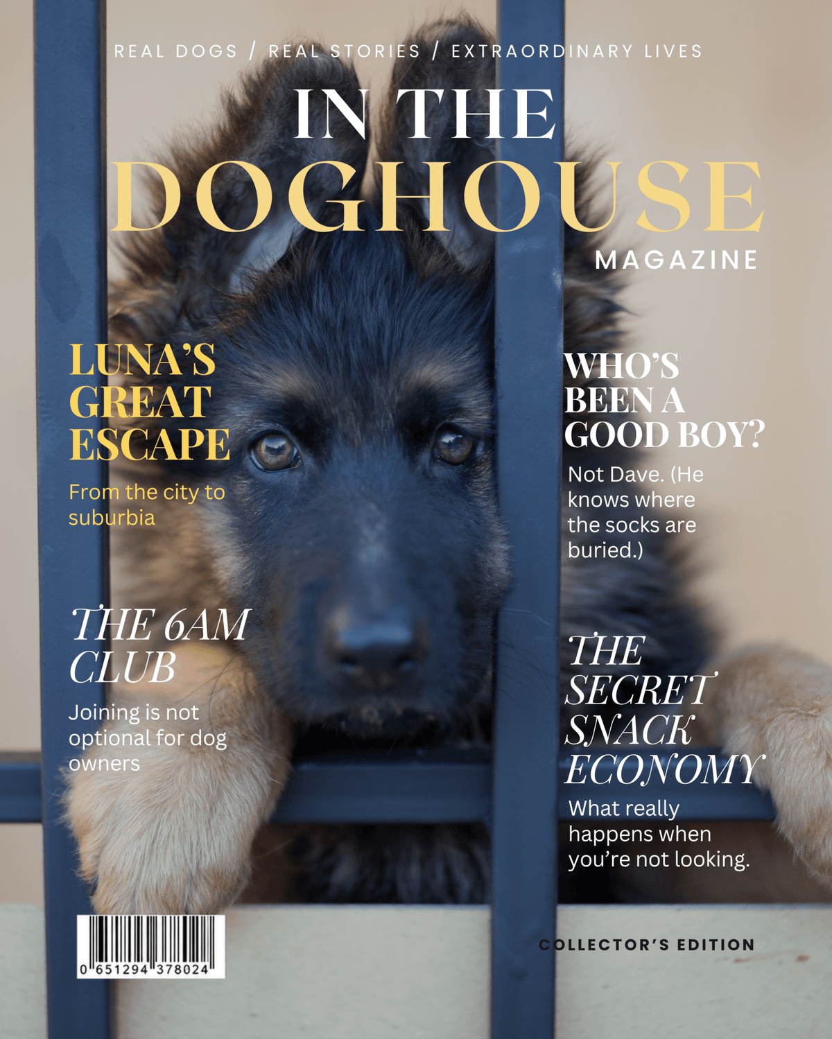 Personalised Dog Magazine Cover - In the Doghouse - Hobbster
