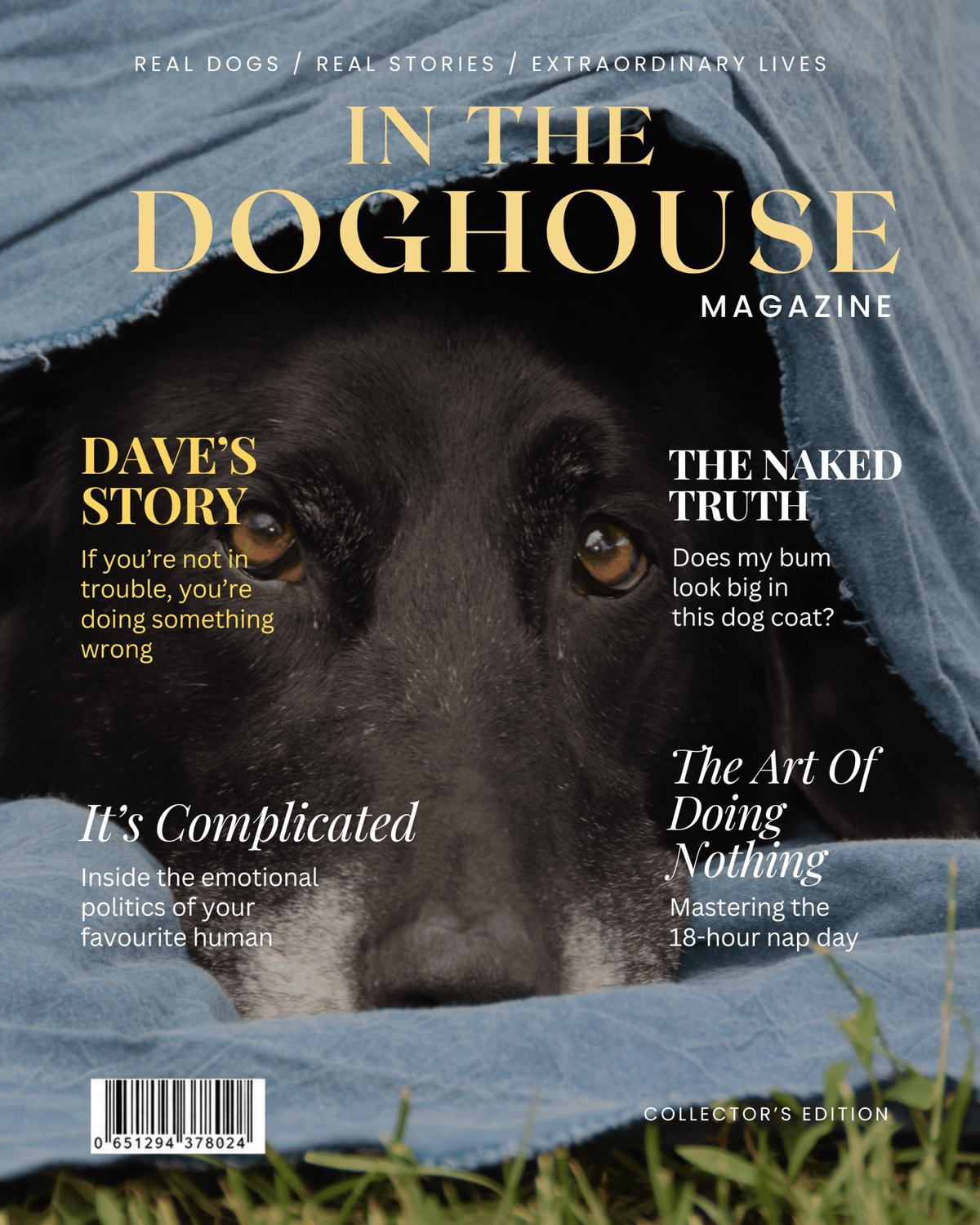 Personalised Dog Magazine Cover - In the Doghouse - Hobbster