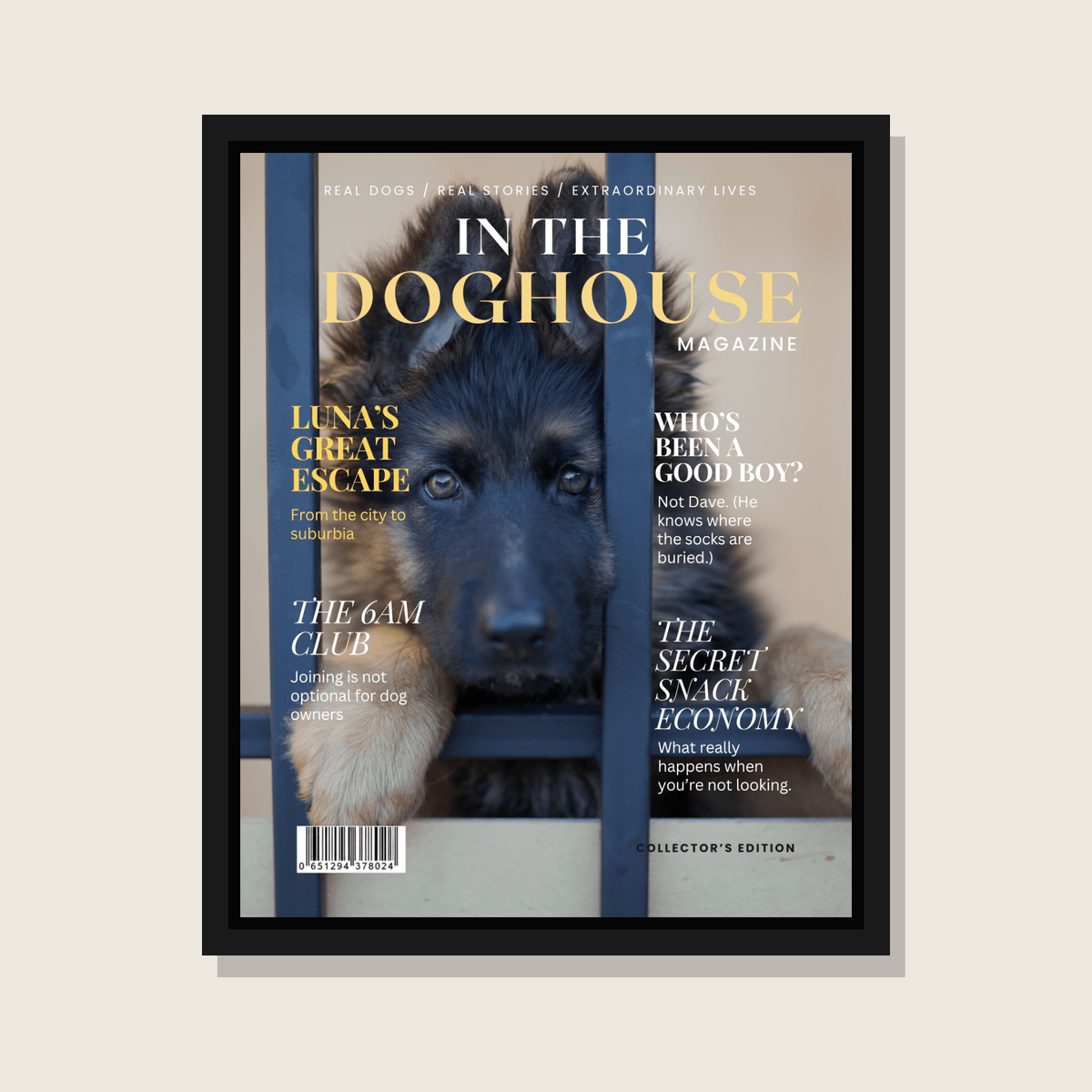 Personalised Dog Magazine Cover - In the Doghouse - Hobbster
