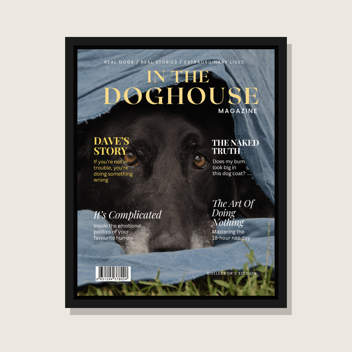 Personalised Dog Magazine Cover - In the Doghouse - Hobbster