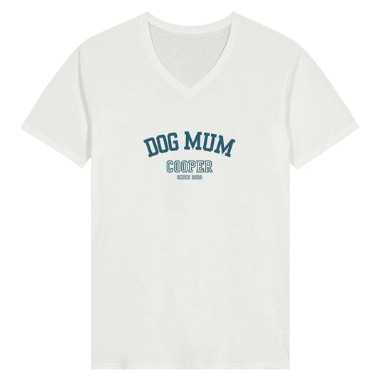 Premium Womens V-Neck T-shirt - Hobbster