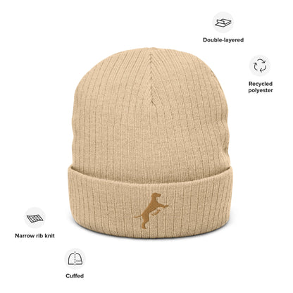 Ribbed beanie hat featuring embroidered Vizsla dog logo - Hobbster