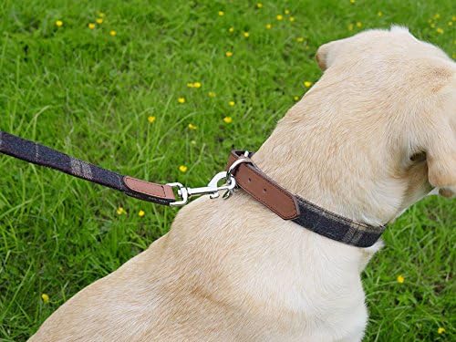 Rosewood Luxury Leather and Tweed Dog Collar - Hobbster