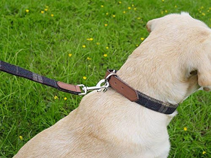 Rosewood Luxury Leather and Tweed Dog Collar - Hobbster