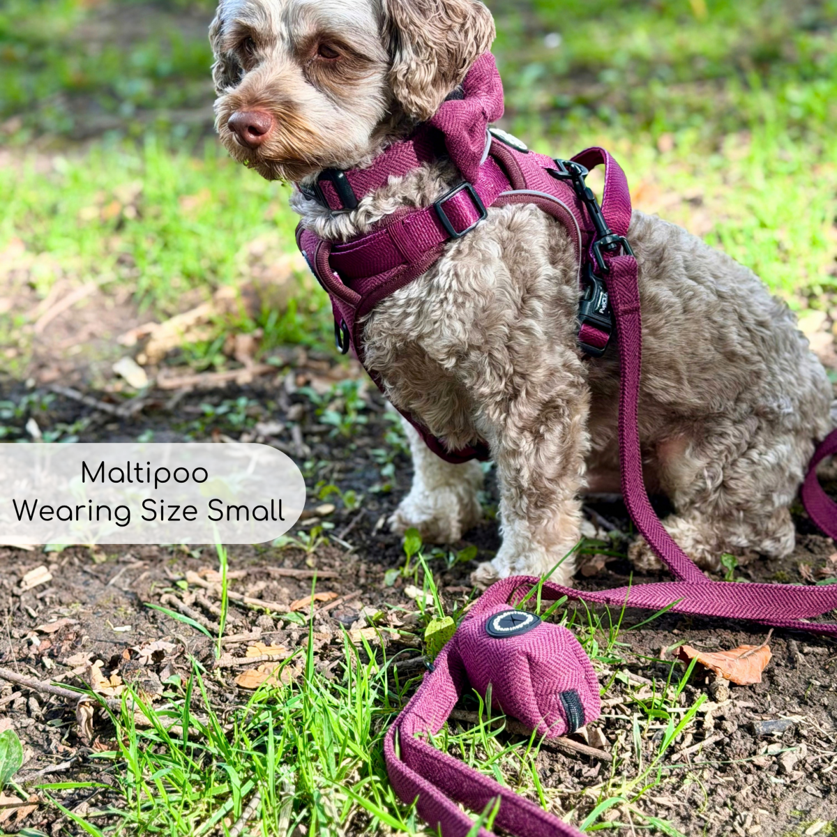 Poo Bag Holder - Berry Tweed - Hobbster