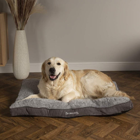 Scruffs Chester Mattress Grey Large [100x70x8cm] - Hobbster