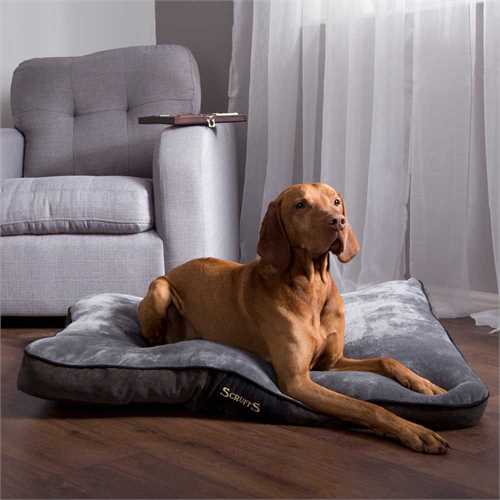 Scruffs Chester Mattress Grey Large [100x70x8cm] - Hobbster